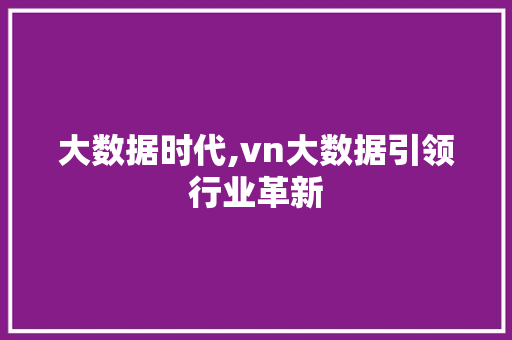大数据时代,vn大数据引领行业革新