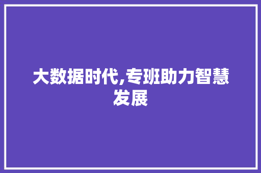 大数据时代,专班助力智慧发展
