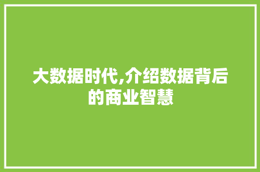 大数据时代,介绍数据背后的商业智慧