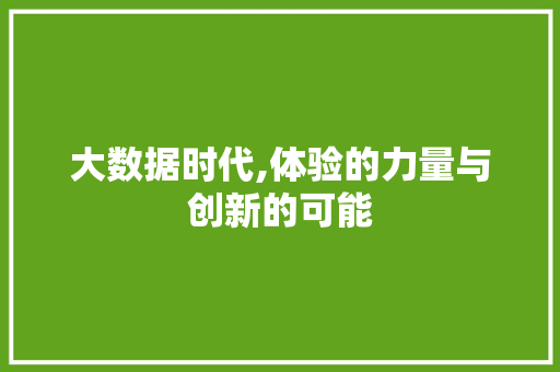大数据时代,体验的力量与创新的可能