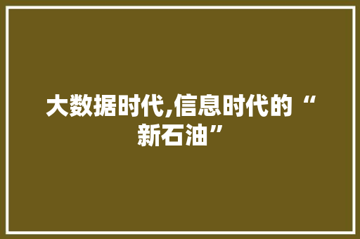 大数据时代,信息时代的“新石油”