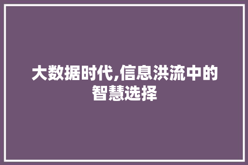 大数据时代,信息洪流中的智慧选择