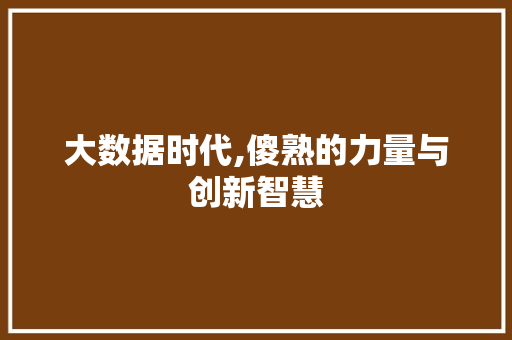 大数据时代,傻熟的力量与创新智慧