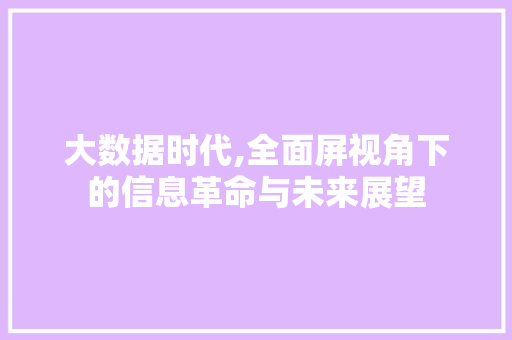 大数据时代,全面屏视角下的信息革命与未来展望
