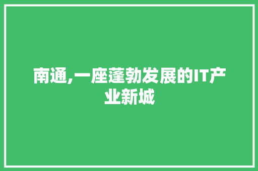 南通,一座蓬勃发展的IT产业新城