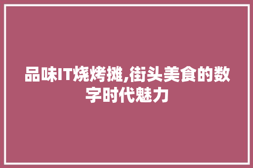 品味IT烧烤摊,街头美食的数字时代魅力