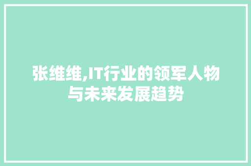 张维维,IT行业的领军人物与未来发展趋势