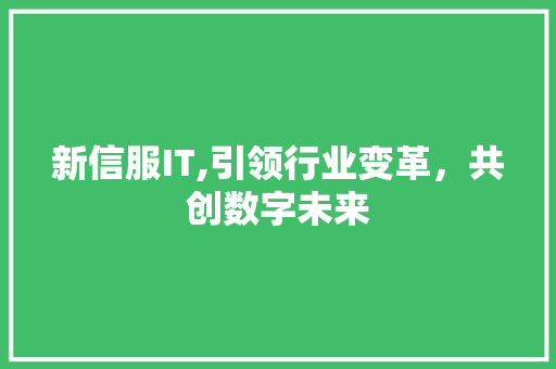 新信服IT,引领行业变革，共创数字未来 服务器/数据库