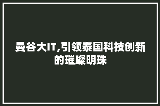曼谷大IT,引领泰国科技创新的璀璨明珠
