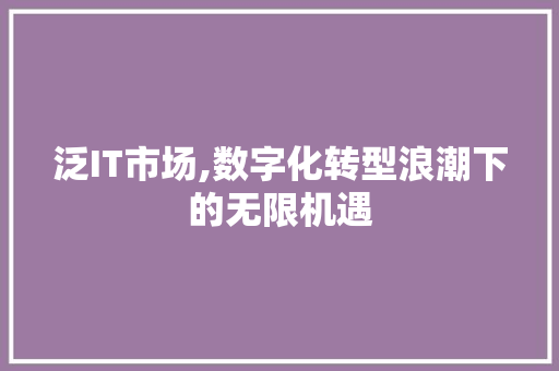 泛IT市场,数字化转型浪潮下的无限机遇