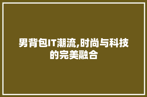 男背包IT潮流,时尚与科技的完美融合
