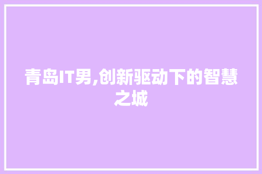 青岛IT男,创新驱动下的智慧之城 建站教程