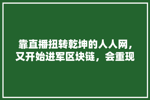 靠直播扭转乾坤的人人网，又开始进军区块链，会重现昔日辉煌吗「web数据库连接过多怎么解决」