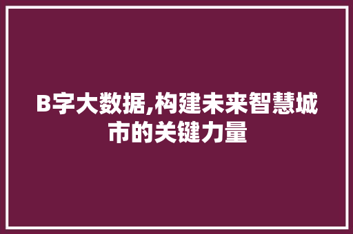 B字大数据,构建未来智慧城市的关键力量