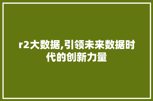 r2大数据,引领未来数据时代的创新力量