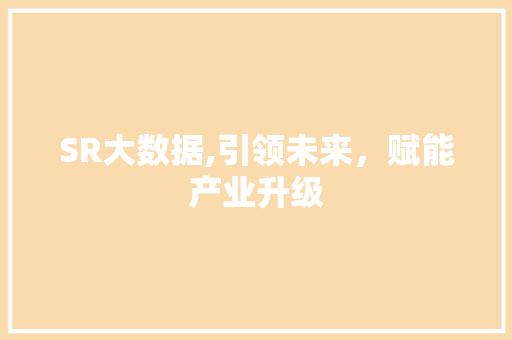 SR大数据,引领未来，赋能产业升级