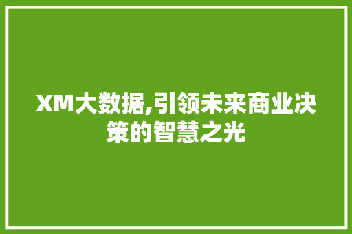 XM大数据,引领未来商业决策的智慧之光