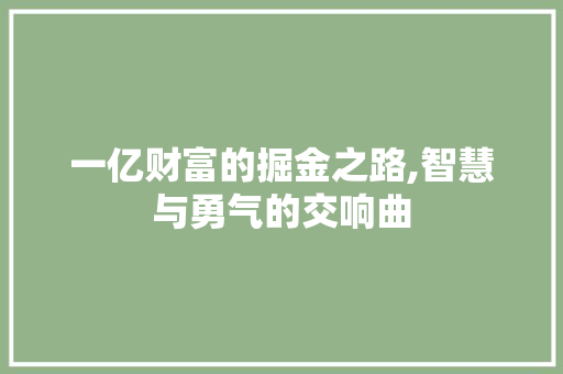 一亿财富的掘金之路,智慧与勇气的交响曲