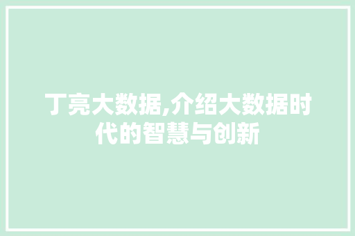丁亮大数据,介绍大数据时代的智慧与创新