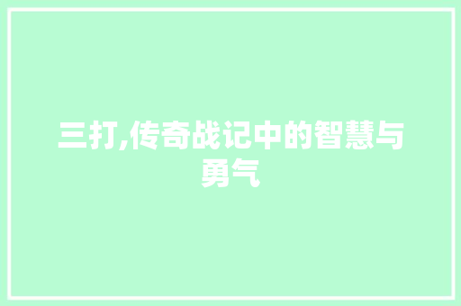 三打,传奇战记中的智慧与勇气