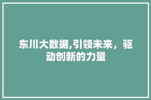 东川大数据,引领未来，驱动创新的力量