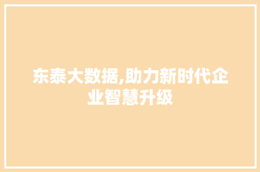 东泰大数据,助力新时代企业智慧升级