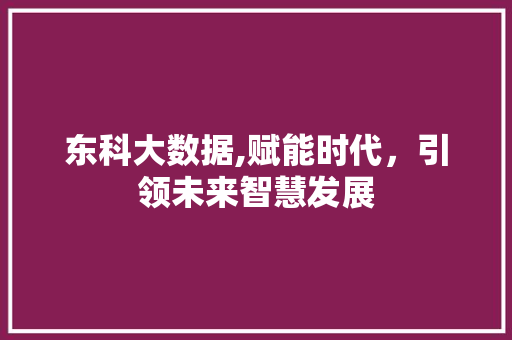 东科大数据,赋能时代，引领未来智慧发展