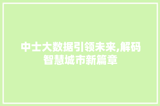 中士大数据引领未来,解码智慧城市新篇章