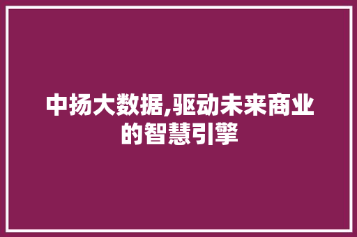 中扬大数据,驱动未来商业的智慧引擎