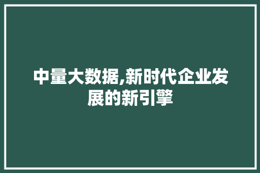 中量大数据,新时代企业发展的新引擎