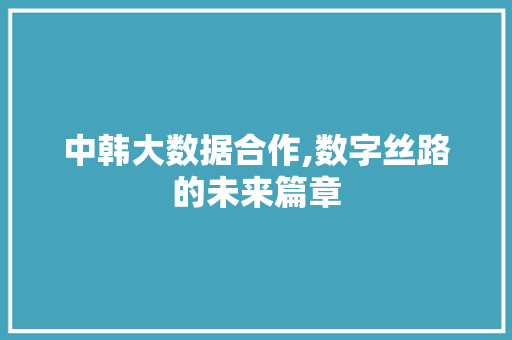 中韩大数据合作,数字丝路的未来篇章