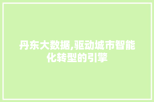 丹东大数据,驱动城市智能化转型的引擎