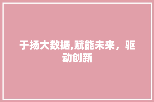 于扬大数据,赋能未来，驱动创新