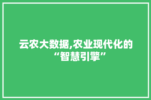 云农大数据,农业现代化的“智慧引擎”