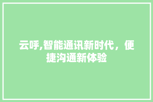 云呼,智能通讯新时代，便捷沟通新体验