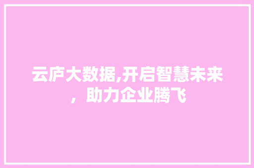 云庐大数据,开启智慧未来，助力企业腾飞