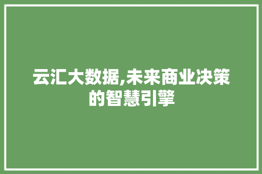云汇大数据,未来商业决策的智慧引擎