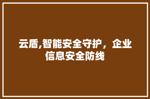 云盾,智能安全守护，企业信息安全防线