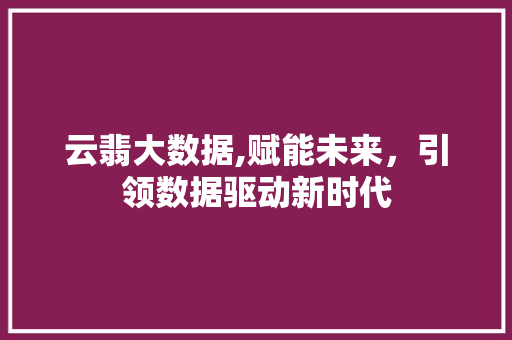 云翡大数据,赋能未来，引领数据驱动新时代