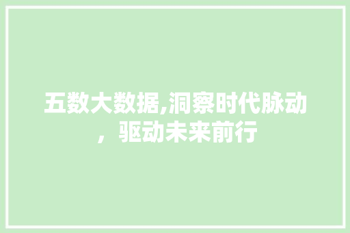 五数大数据,洞察时代脉动，驱动未来前行