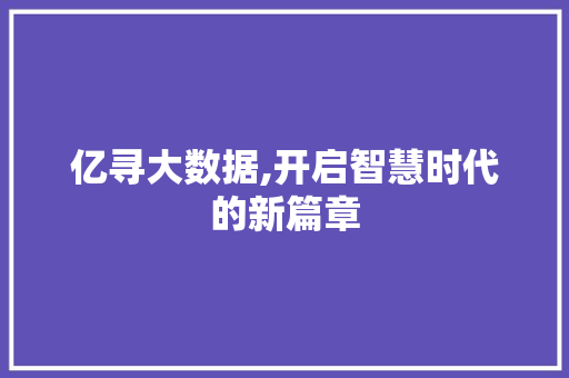 亿寻大数据,开启智慧时代的新篇章