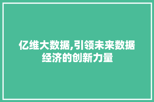 亿维大数据,引领未来数据经济的创新力量