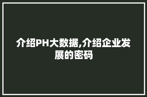 介绍PH大数据,介绍企业发展的密码
