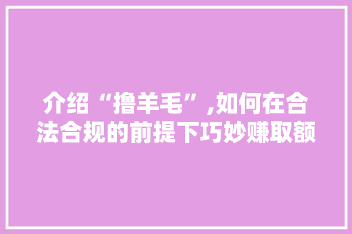 介绍“撸羊毛”,如何在合法合规的前提下巧妙赚取额外收益