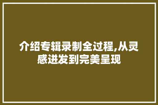 介绍专辑录制全过程,从灵感迸发到完美呈现