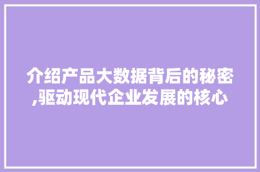 介绍产品大数据背后的秘密,驱动现代企业发展的核心动力