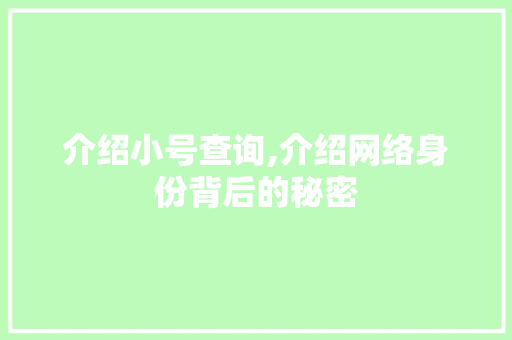 介绍小号查询,介绍网络身份背后的秘密