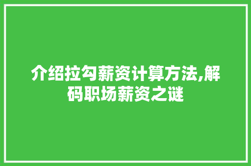 介绍拉勾薪资计算方法,解码职场薪资之谜 介绍拉勾薪资计算方法,解码职场薪资之谜