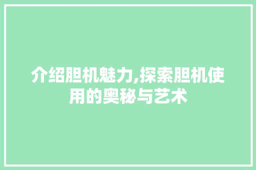 介绍胆机魅力,探索胆机使用的奥秘与艺术