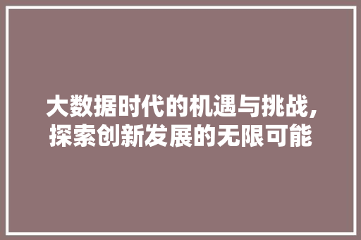 大数据时代的机遇与挑战,探索创新发展的无限可能 服务器/数据库